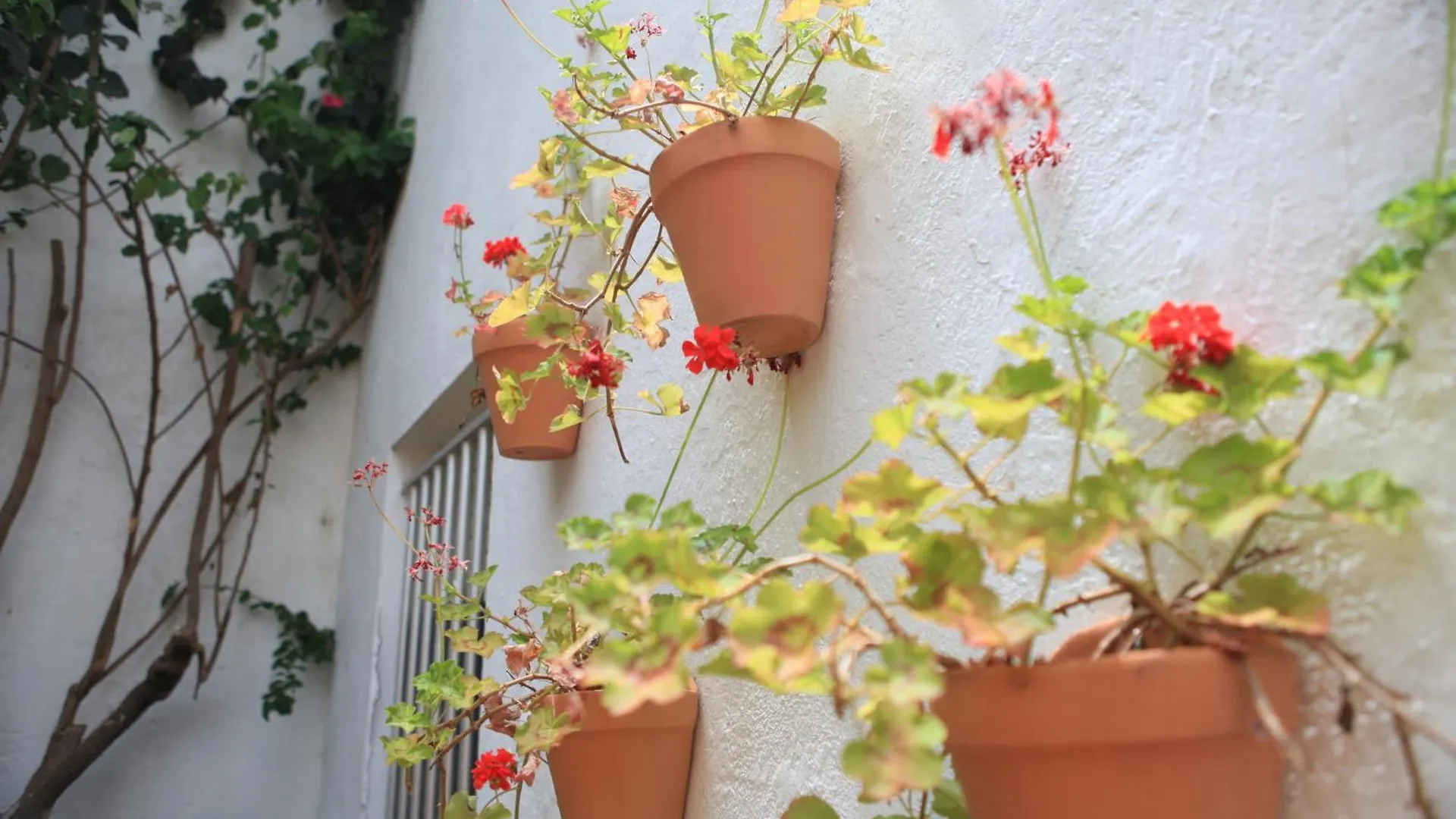 Hotel El Coloso Jerez de la Frontera