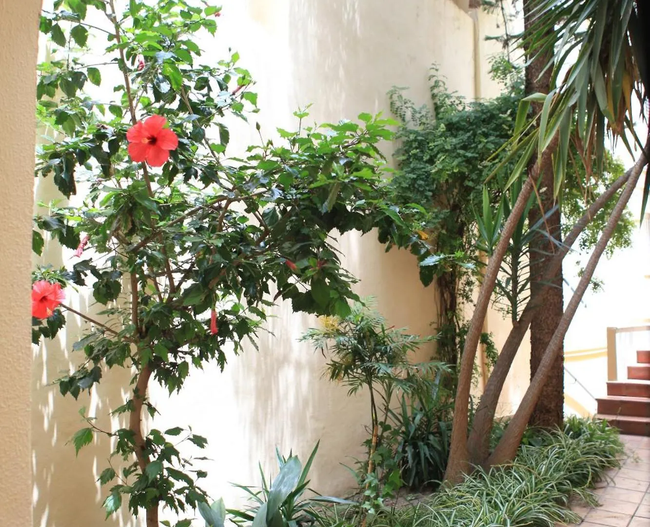 Hotel El Coloso Jerez de la Frontera 2*,