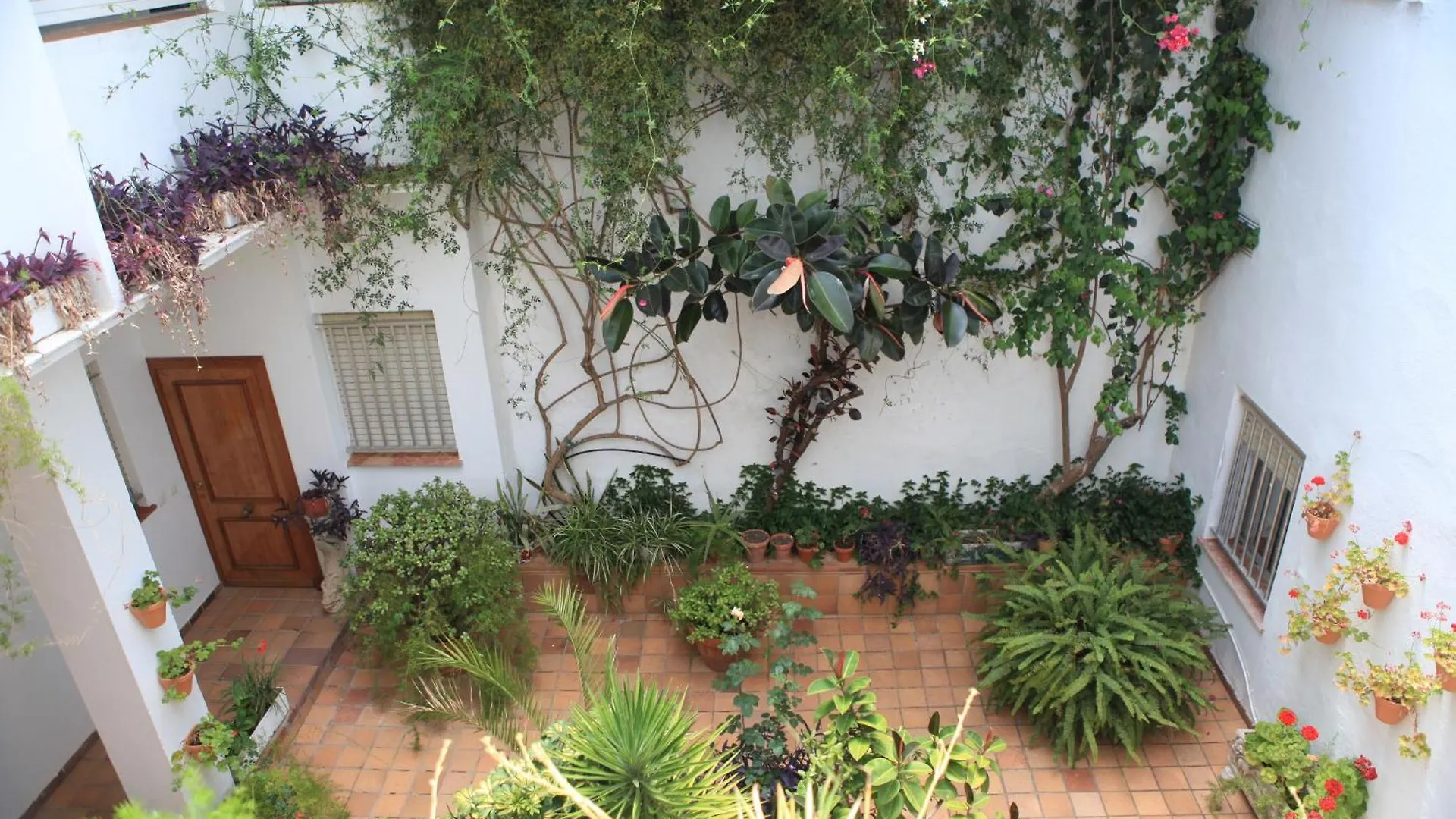 Hotel El Coloso Jerez de la Frontera Spanien